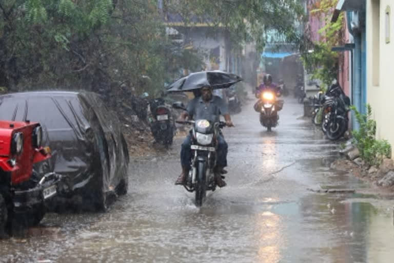 kerala rain updates  kerala weather news  സംസ്ഥാനത്ത് വ്യാപക മഴയ്‌ക്ക് സാധ്യത  കാലാവസ്ഥ നിരീക്ഷണ കേന്ദ്രം  കേരളത്തില്‍ വരും ദിവസങ്ങളില്‍ വ്യാപക മഴ  എട്ട് ജില്ലകളില്‍ യെല്ലോ അലര്‍ട്ട്  യെല്ലോ അലര്‍ട്ട് ജില്ലകൾ  yellow alert districts  rain news  മഴ വാർത്ത  പുതിയ മഴ വാർത്ത  കാലാവസ്ഥ വാർത്ത  ഇടിമിന്നലോടു കൂടിയ ശക്തമായ മഴ  തിരുവനന്തപുരം മഴ മുന്നറിയിപ്പ്