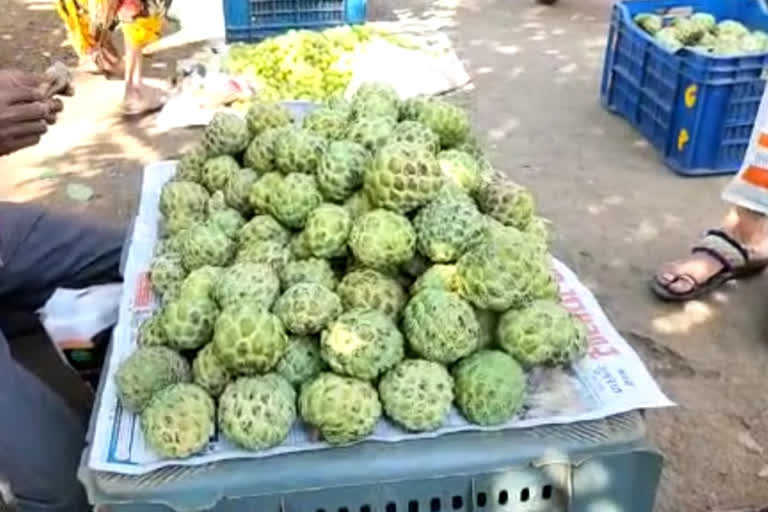 Sugar Apple