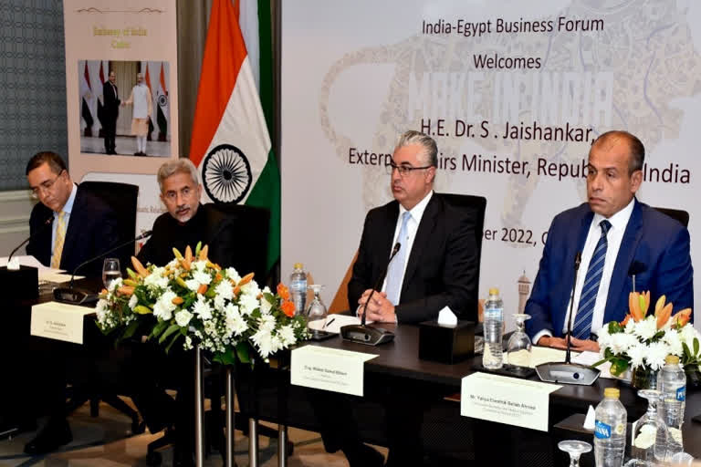 India not only open to business but also focused on working with Egypt