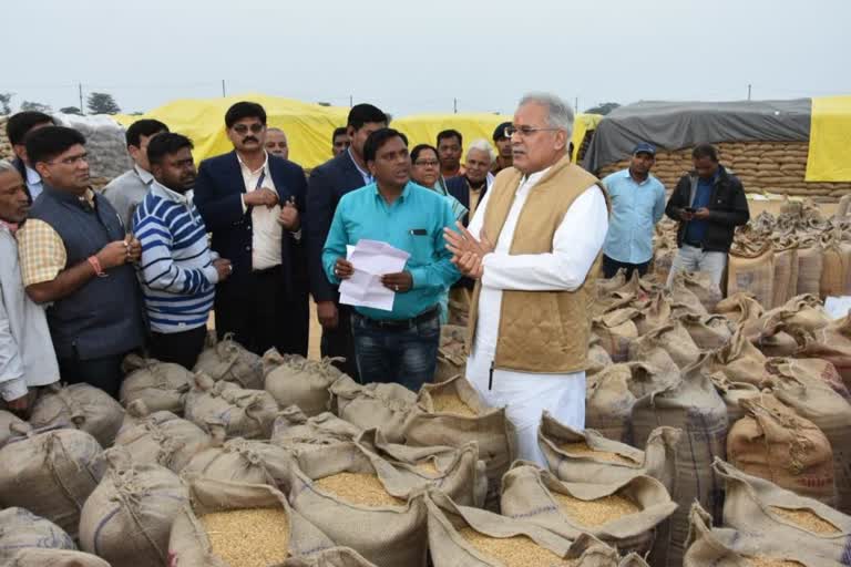 pulses crops on support price in chhattisgarh