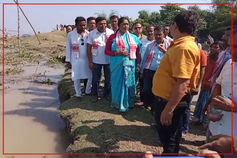 Nandita das inspects erosion in Boko