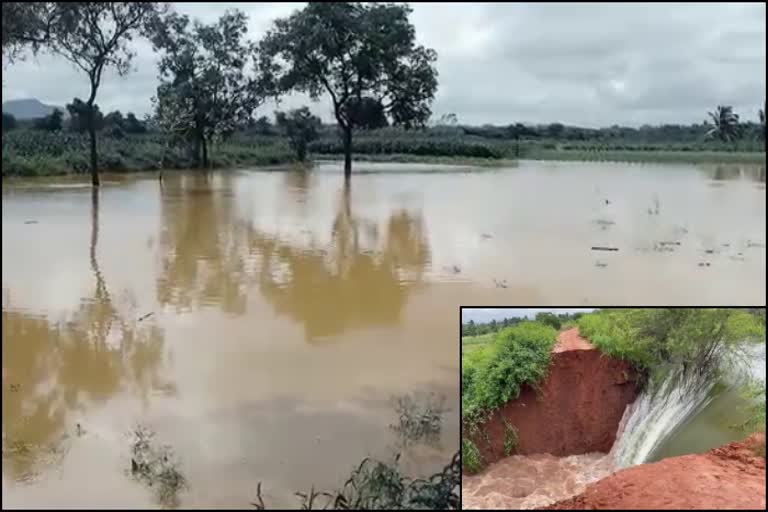 chikkaballapur