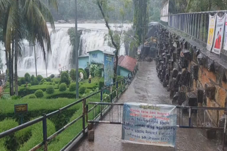 திற்பரப்பு அருவியில் குளிக்க தடை