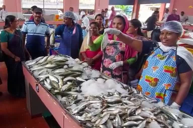 Women to sell fish in Perambra market Kozhikode  Women to sell fish in Perambra market  മത്സ്യം വില്‍ക്കാന്‍ ഇനി സ്‌ത്രീകളും  പേരാമ്പ്ര മാര്‍ക്കറ്റില്‍ മത്സ്യം വില്‍ക്കാന്‍  പേരാമ്പ്രയില്‍ മത്സ്യവില്‍പനയ്‌ക്ക് സ്‌ത്രീകള്‍  കോഴിക്കോട് ഇന്നത്തെ വാര്‍ത്ത  kozhikode todays news