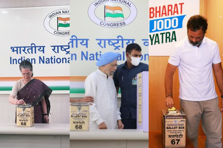 Congress President poll: Sonia Gandhi cast vote in Delhi, Rahul from Karnataka