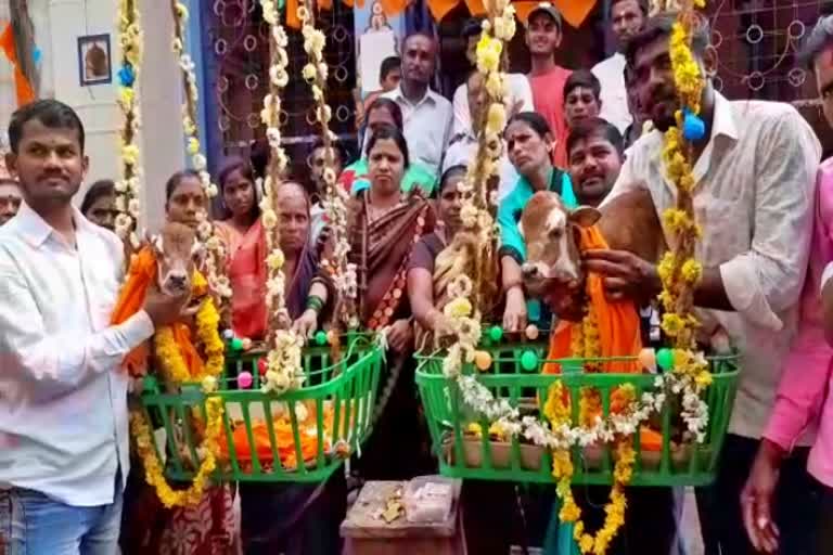 twin-calfs-naming-ceremony-held-at-bagalkot