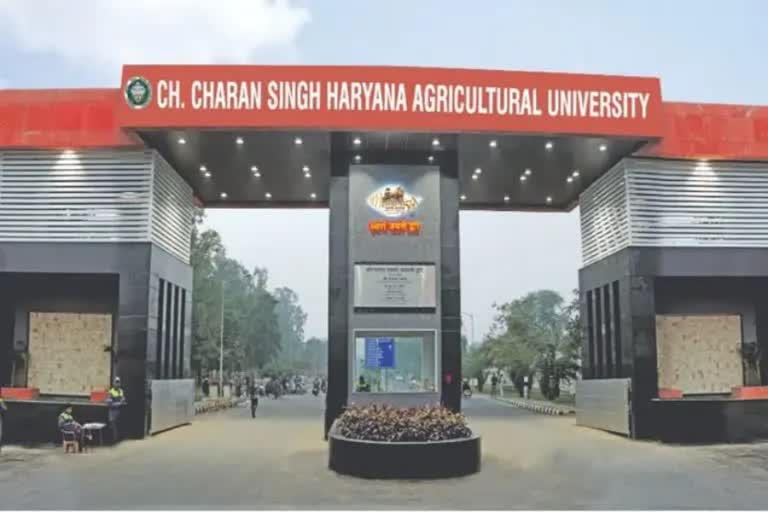 charan singh agricultural university hisar