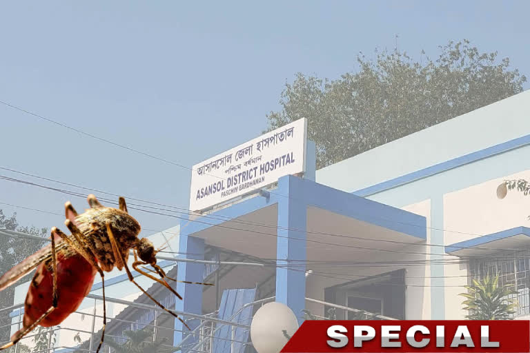 Asansol Breaks Record of Highest Dengue Cases in Last 5 years
