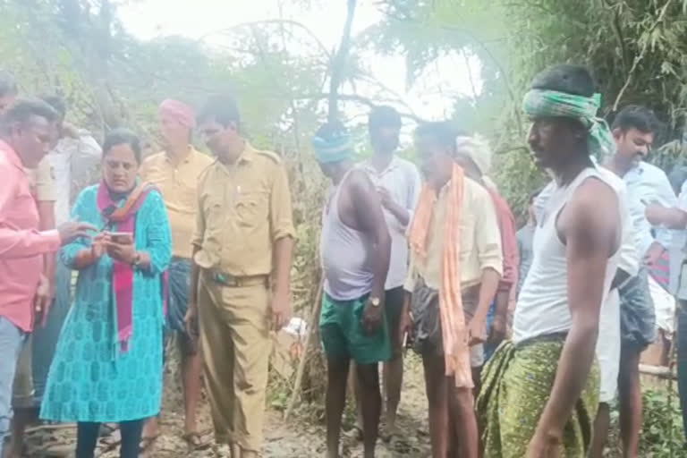 Cattle washed away in Sulekere ditch