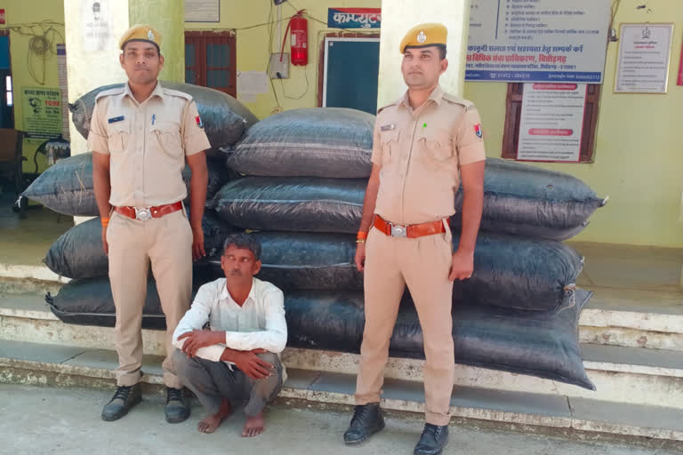 Illegal Doda saw dust seized in Chittorgarh, driver arrested
