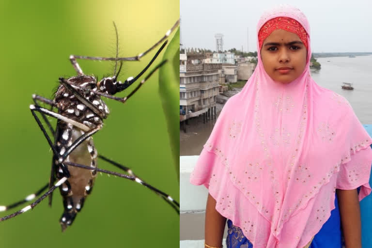 24 year old woman died of dengue in north 24 parganas