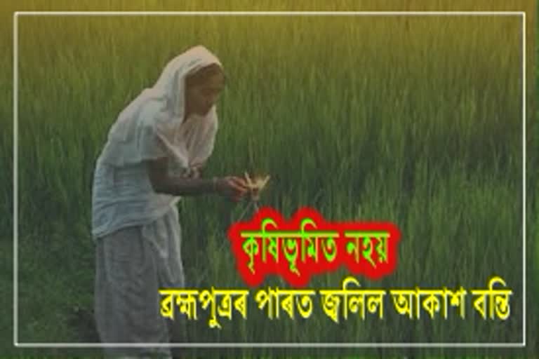 kati bihu celebrated in chabua