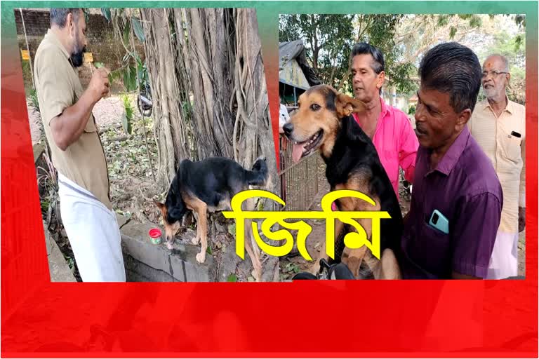 jimmy-a-country-dog-who-is-a-hero-for-mahadeva-villagers