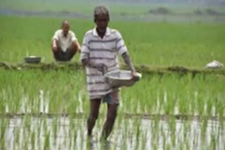 PM-Kisan scheme benefit discontinued for over 15.27L farmers in Jharkhand