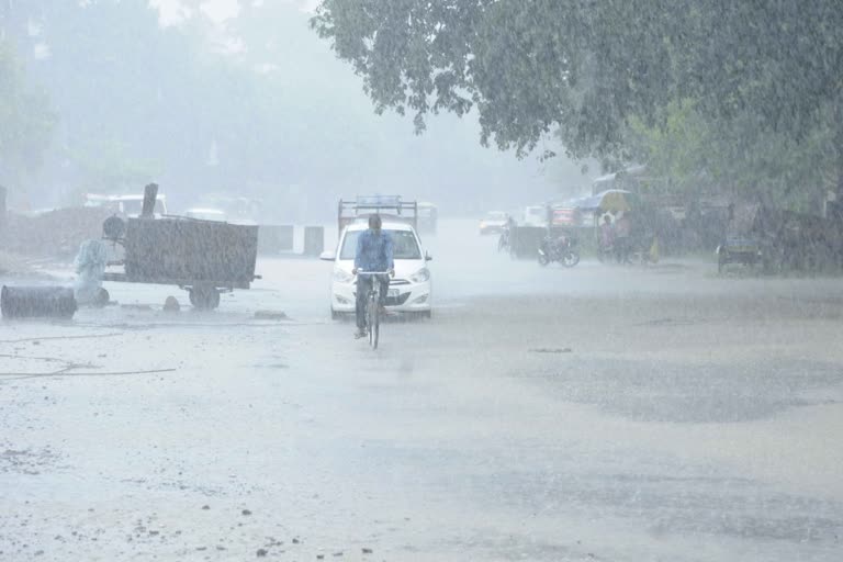 Kerala rain update  kerala weather update  yellow alert in 8 districts  സംസ്ഥാനത്ത് മ‍ഴ കനക്കും  8 ജില്ലകളിൽ യെല്ലോ അലർട്ട്  തിരുവനന്തപുരം  കേന്ദ്ര കാലാവസ്ഥ വകുപ്പ്  പത്തനംതിട്ട  പാലക്കാട്