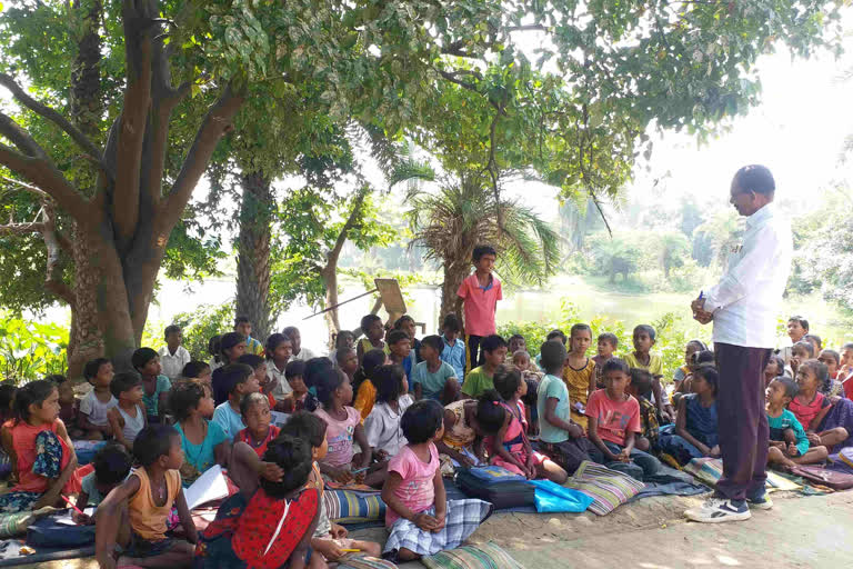 small childrens reading under tree in pakur