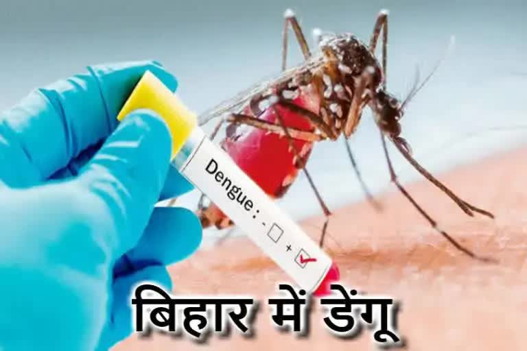 dengue Etv Bharat