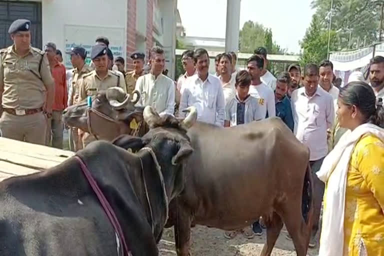 MLA Anupama Rawat Did Protest