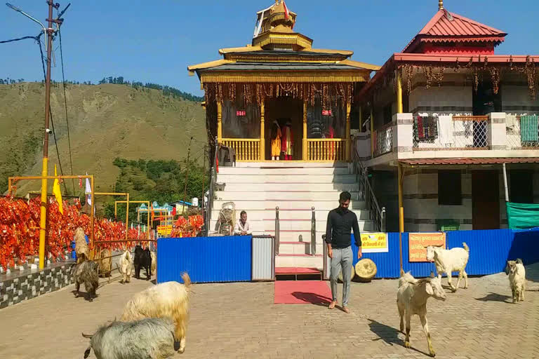 Samalta Mahasu Devta Temple