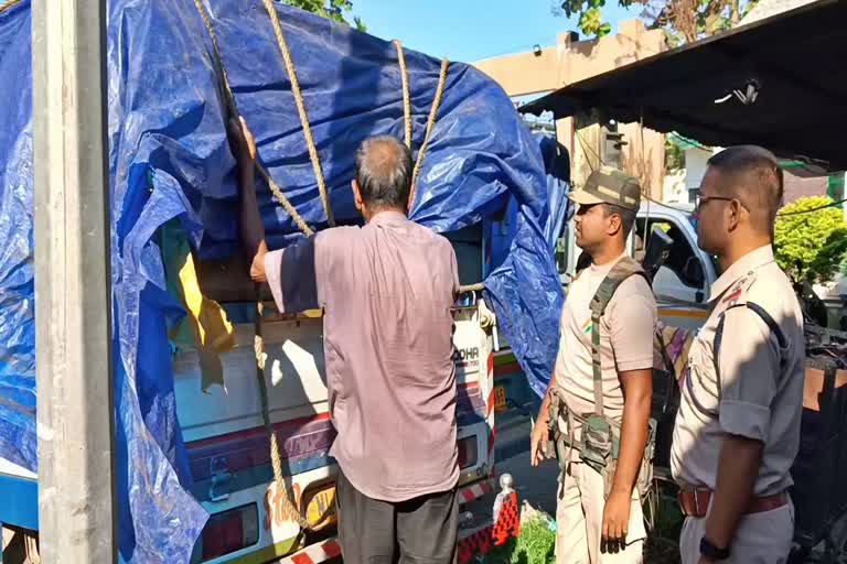 Wood smuggling at Rangia