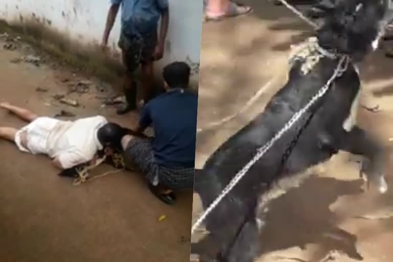 man tied up the bitten dog  bitten dog in kozhikode  man tied up the bitten dog in kozhikode  stary dog in kozhikode  dog bite case in kozhikode  latest news in kozhikode  dog attack  latest news  latest news today  കടിച്ച നായയെ പിടിച്ചുകെട്ടി യുവാവ്  ശ്രമം മറ്റുള്ളവരെ കടിക്കുന്നത് തടയാന്‍  കോഴിക്കോട് പന്തീരങ്കാവില്‍  പ്രഭാതസവാരിക്കിടെ കടിച്ച നായ  നടു വീട്ടിൽ അബ്‌ദുൽ നാസറാണ്  കയറുപയോഗിച്ച് നായയെ കെട്ടിയിട്ടു  കോഴിക്കോട് നായ ആക്രമണം  കോഴിക്കോട് ഏറ്റവും പുതിയ വാര്‍ത്ത  ഇന്നത്തെ പ്രധാന വാര്‍ത്ത