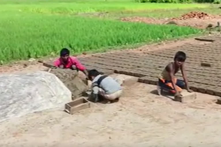 child labourers recruited at brick kilns
