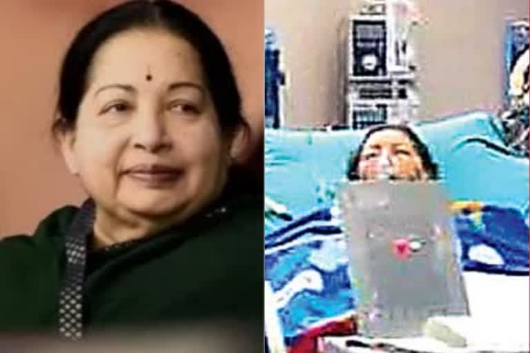 jayalalitha status in her last days in hospital