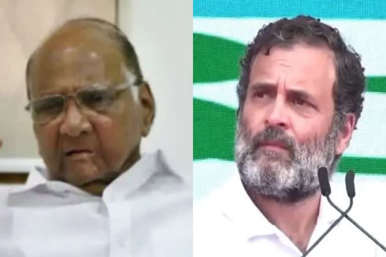 Sharad Pawar Rahul Gandhi