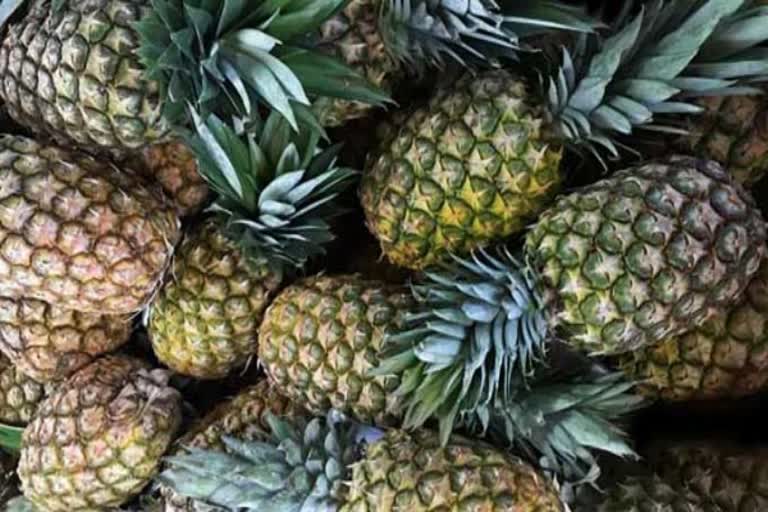 benefits of pine apple