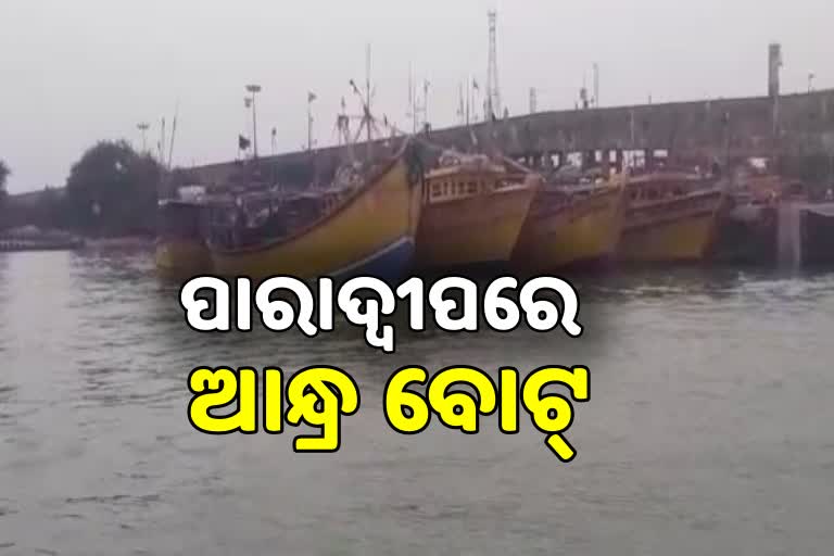 CYCLONE IMPACT: ପାରାଦ୍ବୀପ ବନ୍ଦରରେ ଲାଗିଲା ୪୦ ଆନ୍ଧ୍ର ବୋଟ