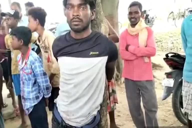 beating young man case by tying tree