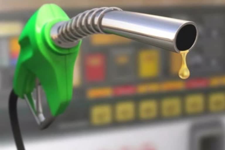 MP Fuel Price