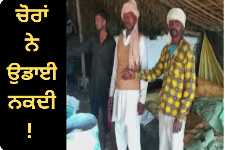 Thieves targeted sugarcane fields, looted cash worth lakhs of rupees