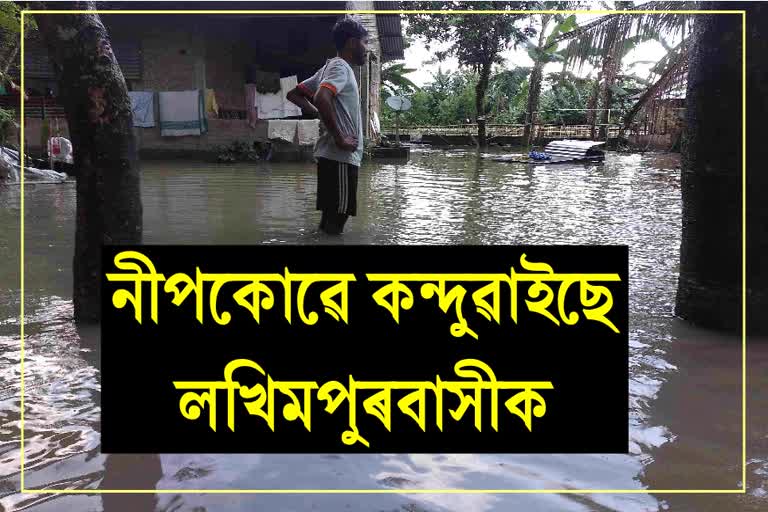 Flood in Lakhimpur