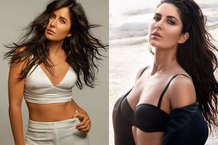 katrina kaif praises on south industry