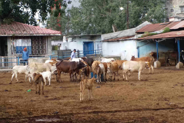 First Veterinary University in Jharkhand