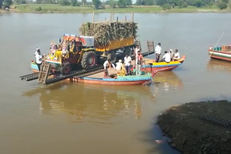 farmers-transported-sugarcane-by-tractor-in-krishna-river