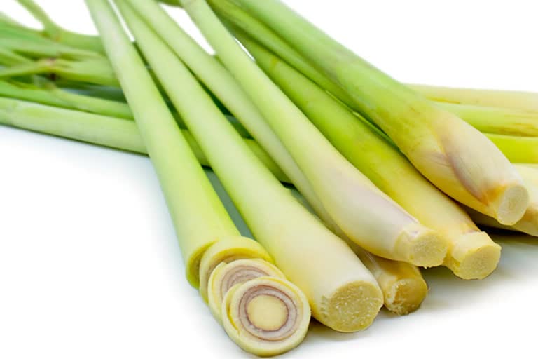 Benefits of Lemon grass for our health