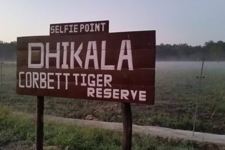 Dhikala Zone