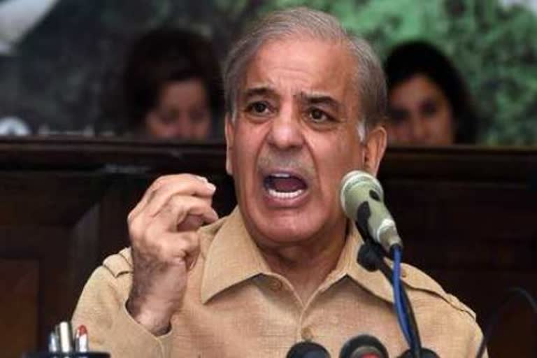 PM Shehbaz Sharif