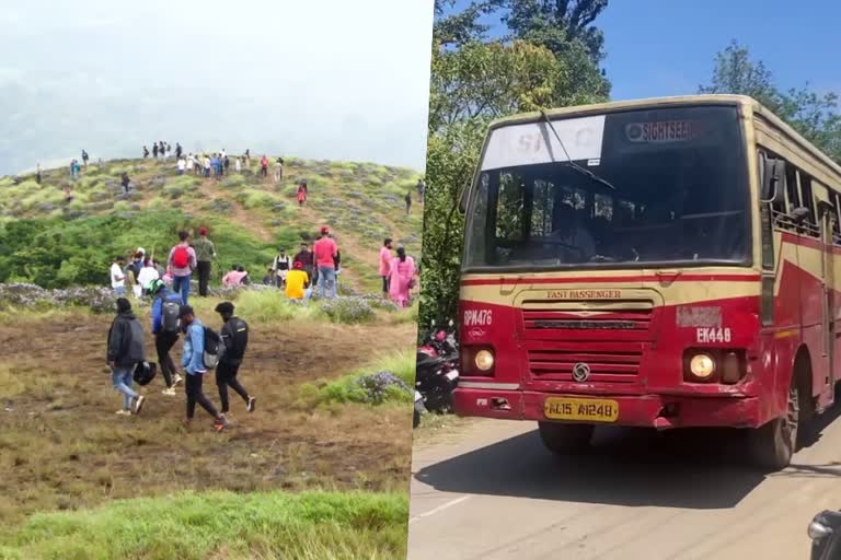 KSRTC Kallippara  neelakurinji  idukki  kallippara  KSRTC got record collection on Kallippara service  ഇടുക്കി  കെഎസ്‌ആർടിസിക്ക് റെക്കോർഡ് കളക്ഷൻ  നീലക്കുറിഞ്ഞി  idukki latest news  ഇടുക്കി വാർത്തകൾ