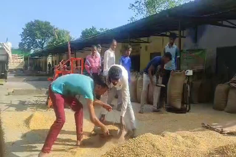 Paddy Procurement in Khatima