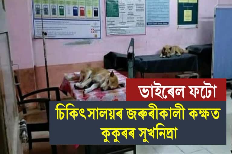 Viral photo of Nalbari civil hospital