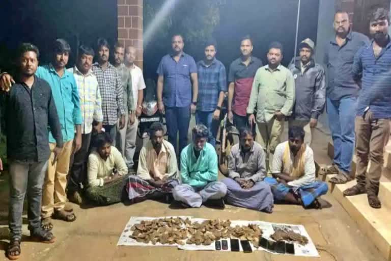 Five arrested in Chitradurga district for selling shell pork