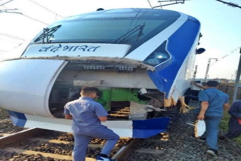 Cattle hit Vande Bharat train again in Mumbai