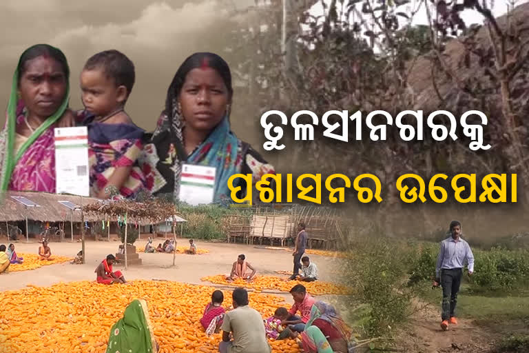 ଆଦର୍ଶ ଓ ମଦମୁକ୍ତ ଗ୍ରାମ ତୁଳସୀନଗରରେ ପହଞ୍ଚି ପାରୁନି ବିକାଶ ଗାଡି