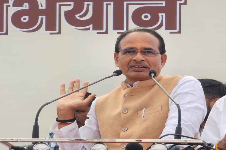 CM Shivraj say to bring back goddess vagdevi idol