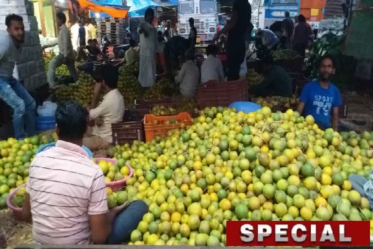 Fruits Market in Chhath Puja 2022 at Machuabazar