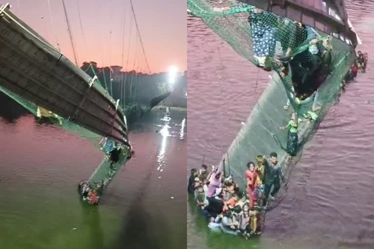 Morbi Zulta bridge broke  Cable bridge collapsed in Gujarat morbi  ഗുജറാത്തിൽ തൂക്കുപാലം തകർന്നു  ഗുജറാത്തിലെ മോർബി  മോർബിയിലെ മച്ചു നദിക്ക് കുറുകെയുള്ള തൂക്കുപാലം  തൂക്കുപാലം തകർന്ന് നിരവധി പേർക്ക് പരിക്ക്  Suspension bridge collapses in Gujarat  Cable bridge collapsed in the Machchhu river  Machchhu river Gujarat morbi  കേബിൾ പാലം തകർന്നു  മച്ചു നദി തൂക്കുപാലം  ഗുജറാത്ത് തൂക്കുപാലം  gujarat cable bridge collapse  ഗുജറാത്തിൽ തൂക്കുപാലം തകർന്ന് 60 മരണം  ഗുജറാത്തിൽ തൂക്കുപാലം തകർന്ന് നിരവധി മരണം  morbi bridge collapse  gujarat bridge collapse  gujarat cable bridge accident today
