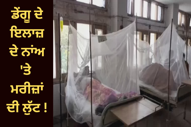 After Corona in Bathinda, now patients are being robbed under the fear of dengue